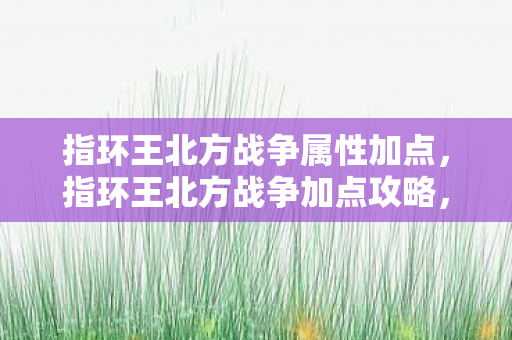 指环王北方战争属性加点图片