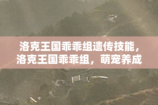 洛克王国乖乖组遗传技能，洛克王国乖乖组，萌宠养成与奇幻冒险的奇妙之旅