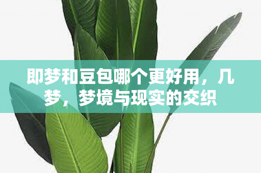 即梦和豆包哪个更好用图片