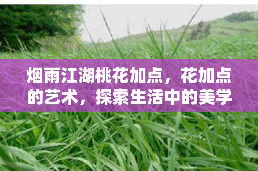 探索生活中的美学与创意图片