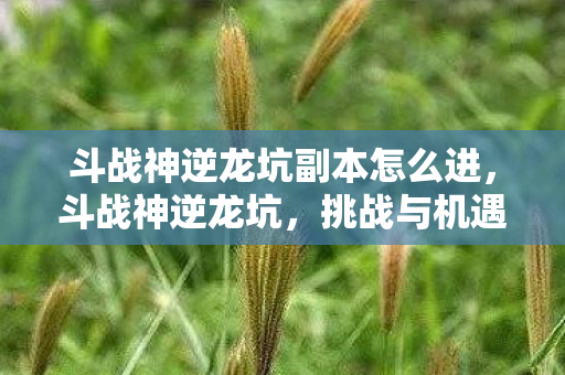 挑战与机遇并存的神秘领域图片