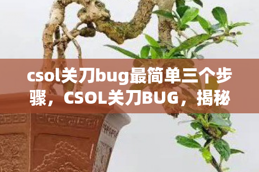 csol关刀bug最简单三个步骤，CSOL关刀BUG，揭秘与应对