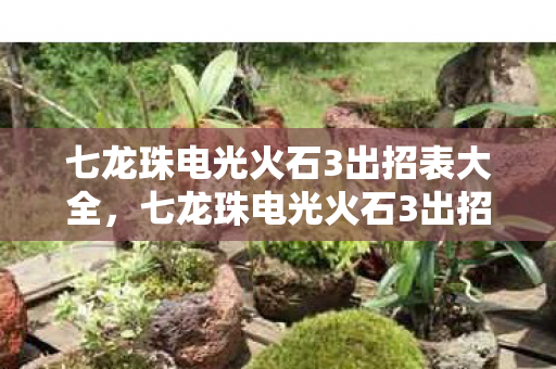 七龙珠电光火石3出招表大全，七龙珠电光火石3出招表详解