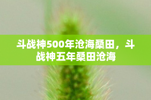 斗战神500年沧海桑田图片