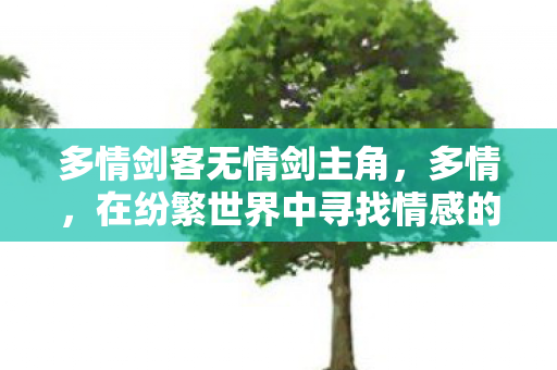 在纷繁世界中寻找情感的共鸣图片