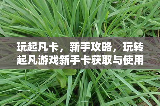 玩起凡卡，新手攻略，玩转起凡游戏新手卡获取与使用指南