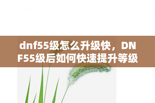 DNF55级后如何快速提升等级图片