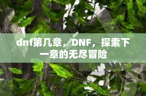 探索下一章的无尽冒险图片