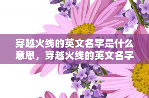 CrossFire 不仅在中国有着庞大的玩家群体图片