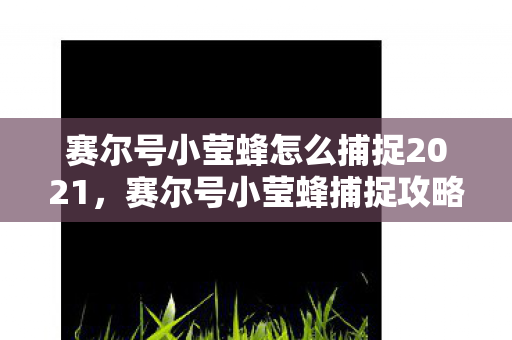 赛尔号小莹蜂怎么捕捉2021图片