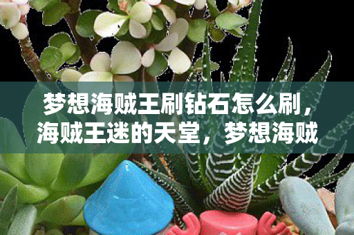 梦想海贼王刷钻石怎么刷，海贼王迷的天堂，梦想海贼王刷钻石攻略