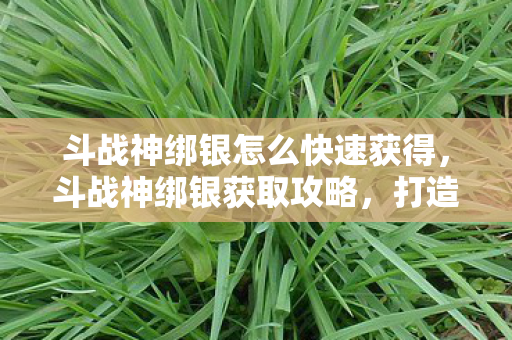 斗战神绑银怎么快速获得图片