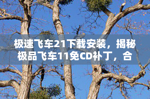 揭秘极品飞车11免CD补丁图片