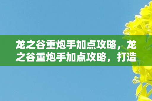龙之谷重炮手加点攻略图片