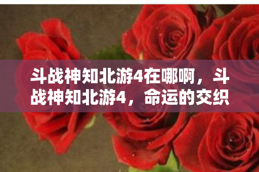 斗战神知北游4在哪啊图片