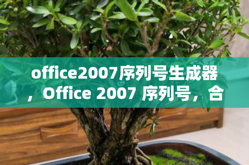 office2007序列号生成器图片