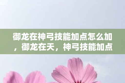 御龙在神弓技能加点怎么加图片