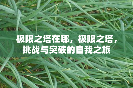 挑战与突破的自我之旅图片