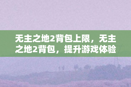 提升游戏体验的必备神器图片