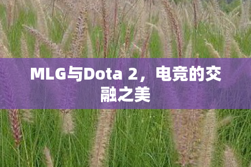 MLG与Dota 2，电竞的交融之美