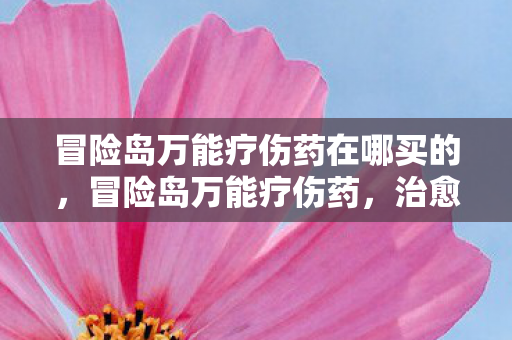 冒险岛万能疗伤药在哪买的图片