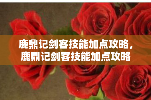 鹿鼎记剑客技能加点攻略图片