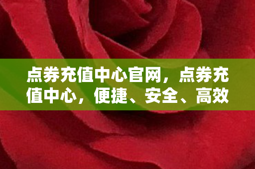 点券充值中心官网图片