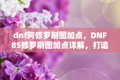DNF85修罗刷图加点详解图片