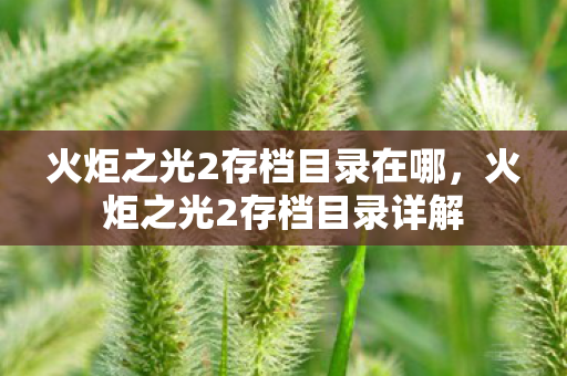 火炬之光2存档目录在哪图片