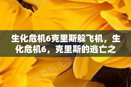 生化危机6克里斯躲飞机图片