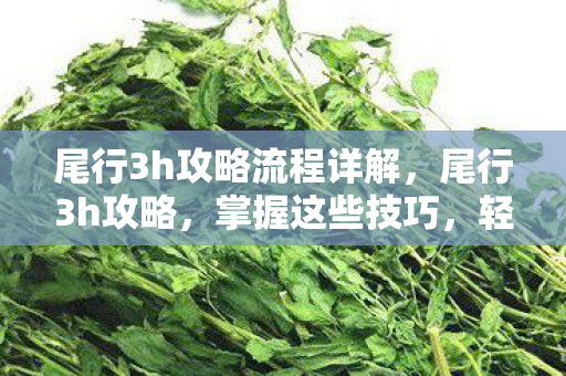 尾行3h攻略流程详解图片