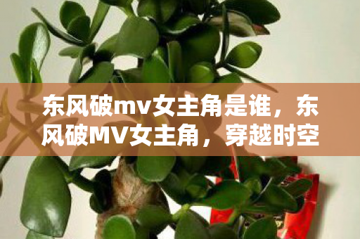 东风破mv女主角是谁图片