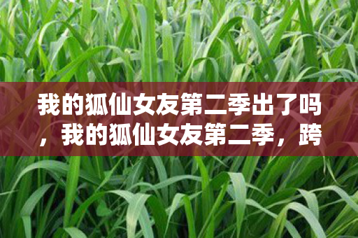 我的狐仙女友第二季出了吗图片