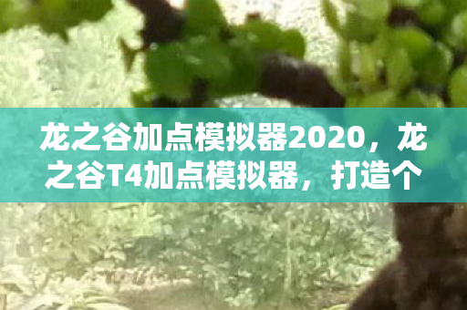 龙之谷加点模拟器2020图片