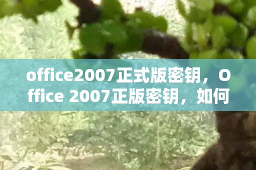 office2007正式版密钥图片