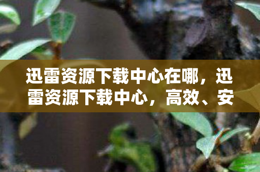 迅雷资源下载中心在哪图片
