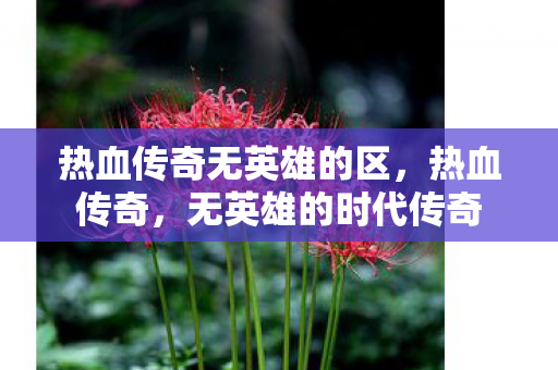 热血传奇无英雄的区图片