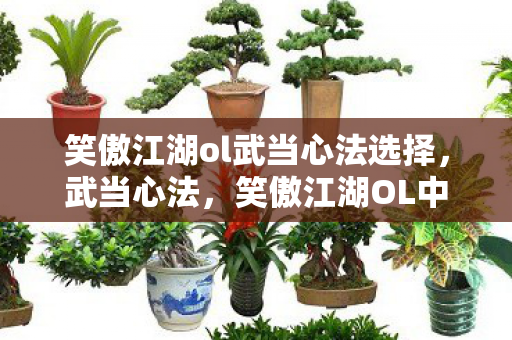 笑傲江湖ol武当心法选择图片