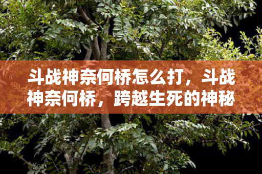 斗战神奈何桥怎么打图片