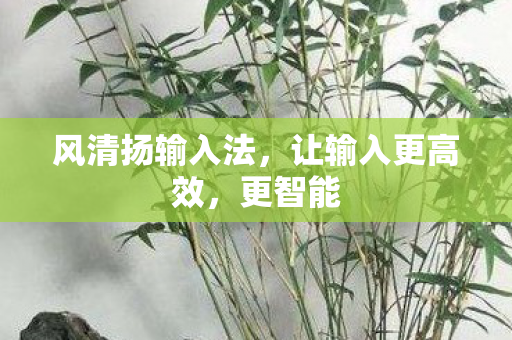 风清扬输入法图片