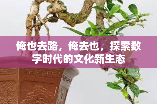 探索数字时代的文化新生态图片