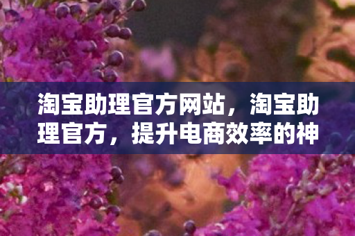 提升电商效率的神器图片