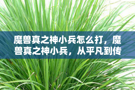 魔兽真之神小兵怎么打图片