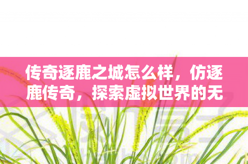 探索虚拟世界的无限可能图片