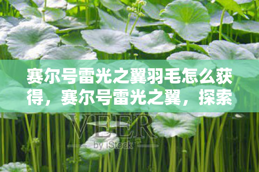 赛尔号雷光之翼羽毛怎么获得图片