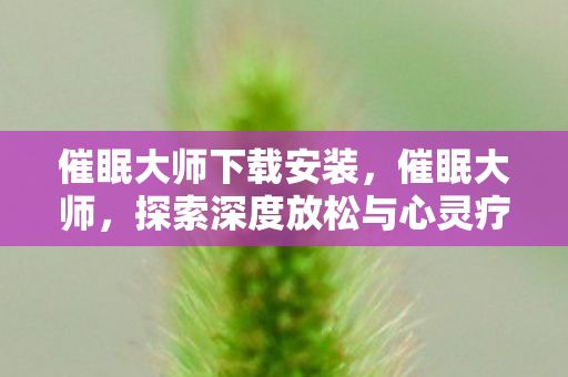 探索深度放松与心灵疗愈的奇妙之旅图片