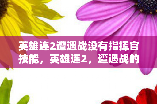 英雄连2遭遇战没有指挥官技能图片