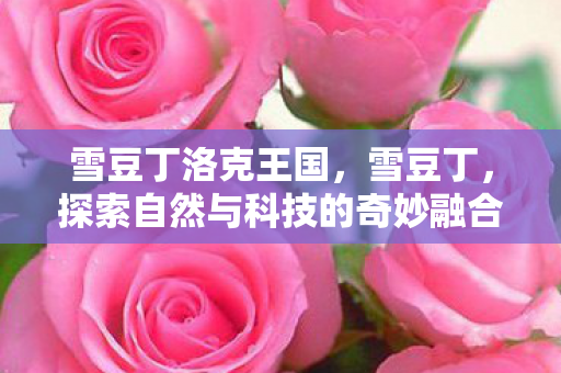 探索自然与科技的奇妙融合图片