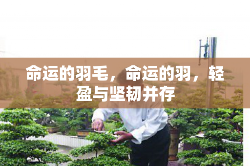 轻盈与坚韧并存图片