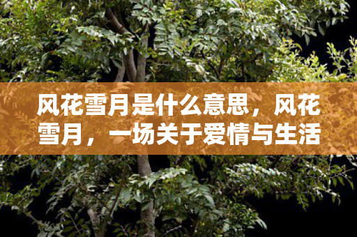 一场关于爱情与生活的诗意之旅图片